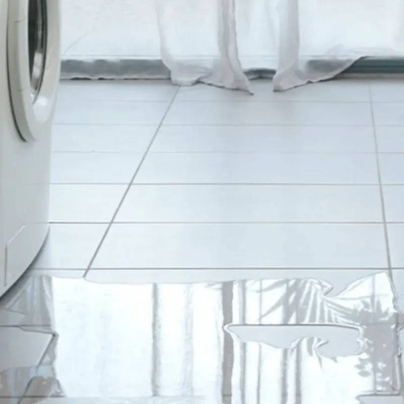 Appliance Leak Cleanup in Lorain, OH