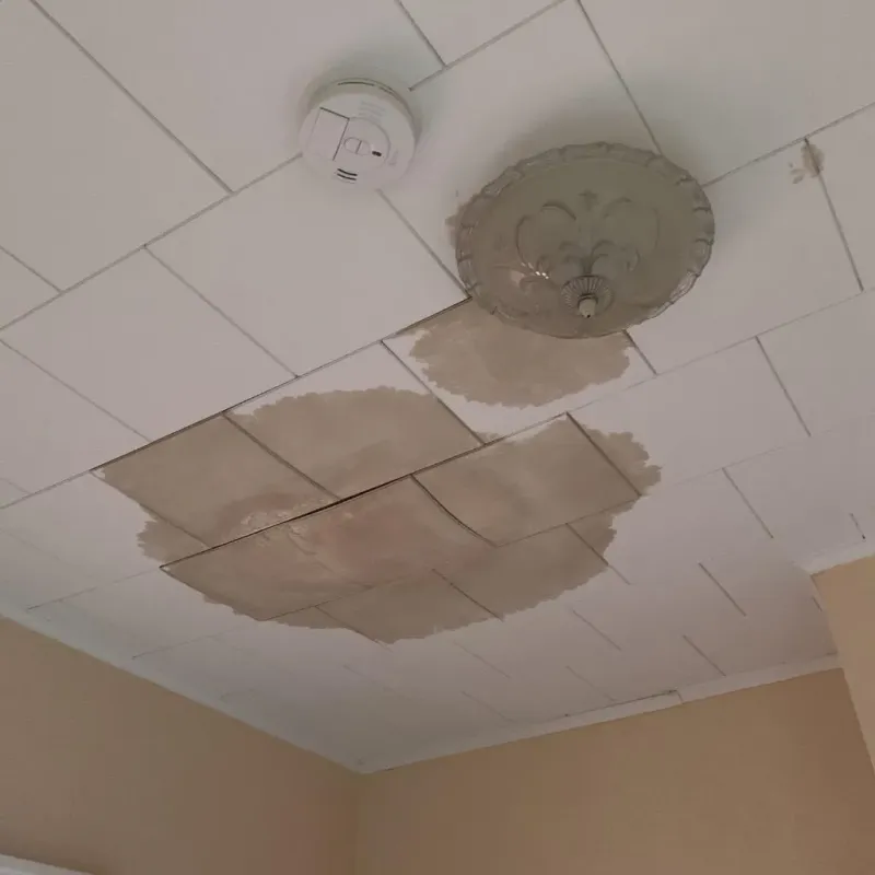 Ceiling Water Damage Repair in Lorain, OH