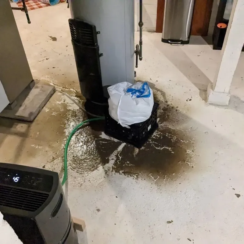 Sewage Backup Cleanup Service in Lorain, OH